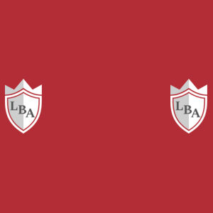 LBA Knights Socks Design